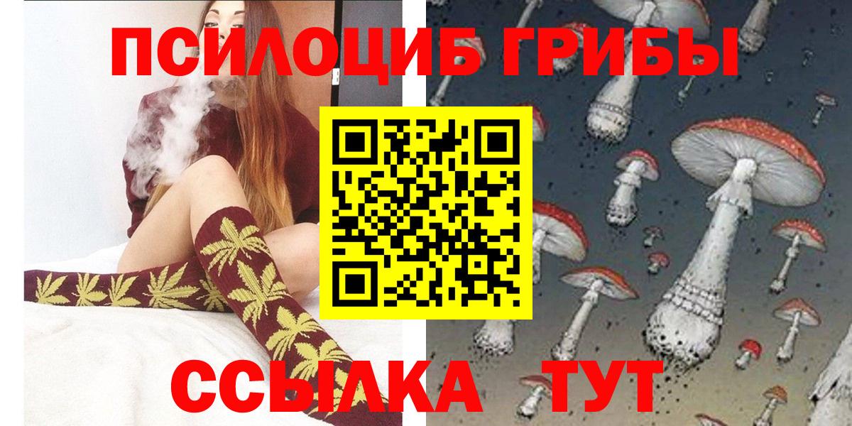 Сегежа  Галлюциногенные грибы Cubensis  Вход с VPN 